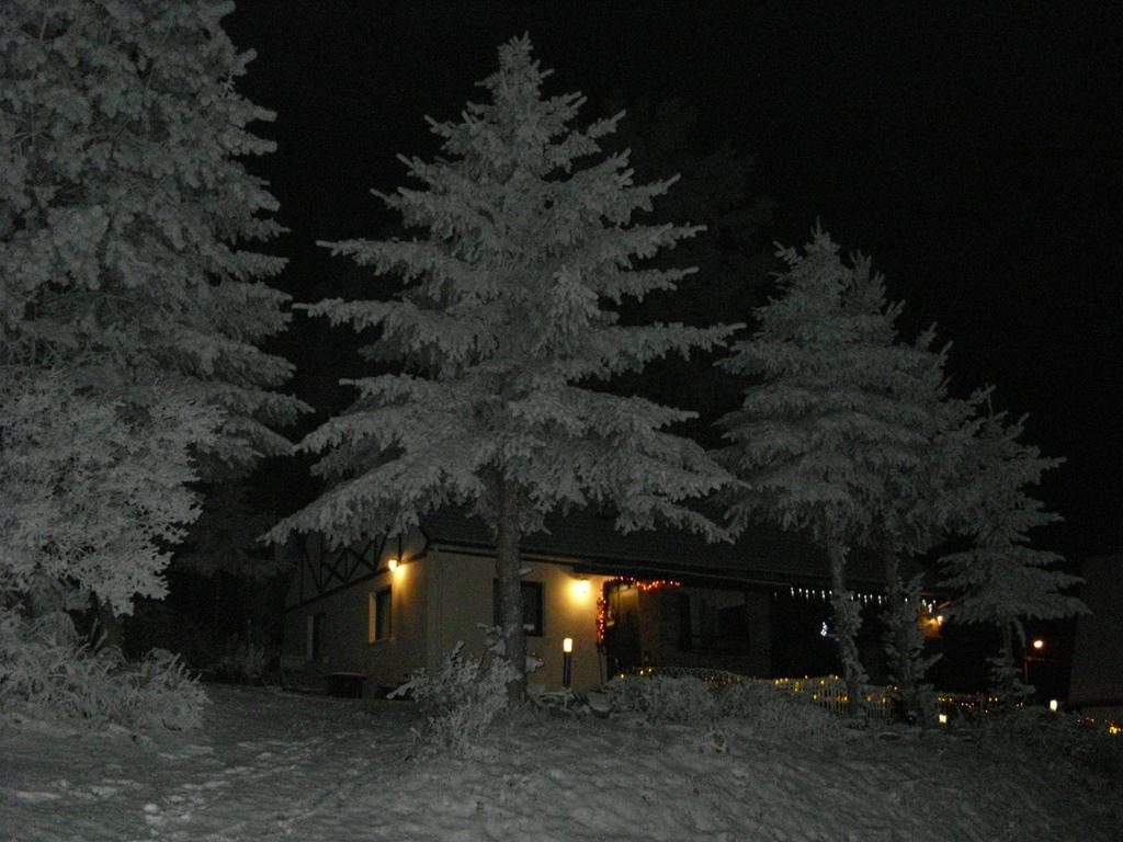Dom Panorama Pod Gwiazdami Villa Kopaniec Kamer foto